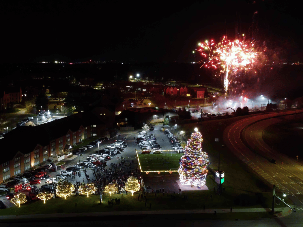 Ge slim fresh cut christmas tree