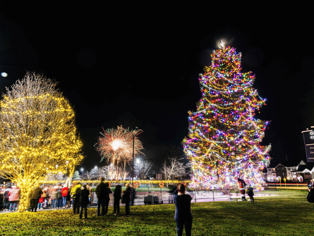 Ge slim fresh cut christmas tree