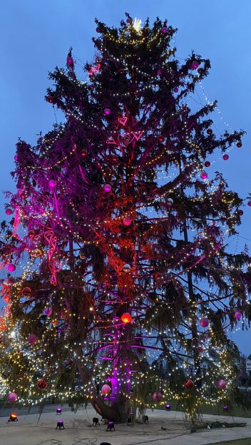World's Tallest Valentine's Day Tree South Bend Indiana