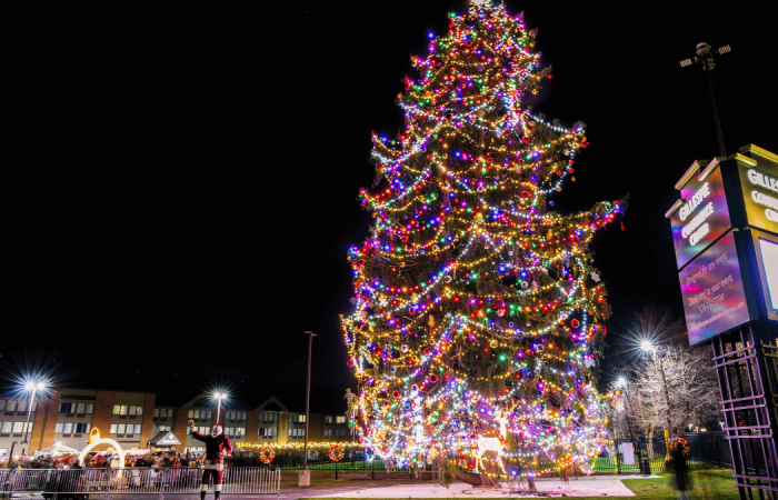America's Tallest Fresh-Cut Christmas Tree South Bend Indiana